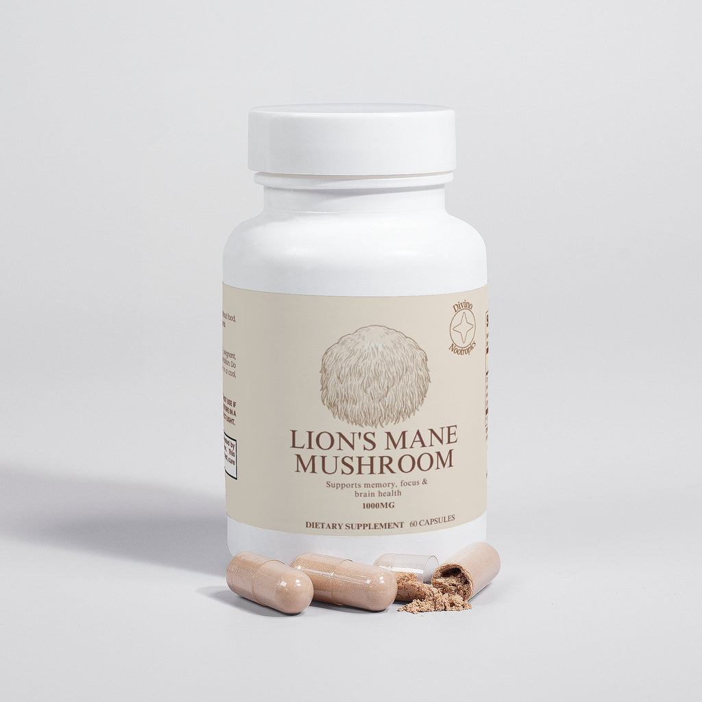 Lion's Mane Mushroom