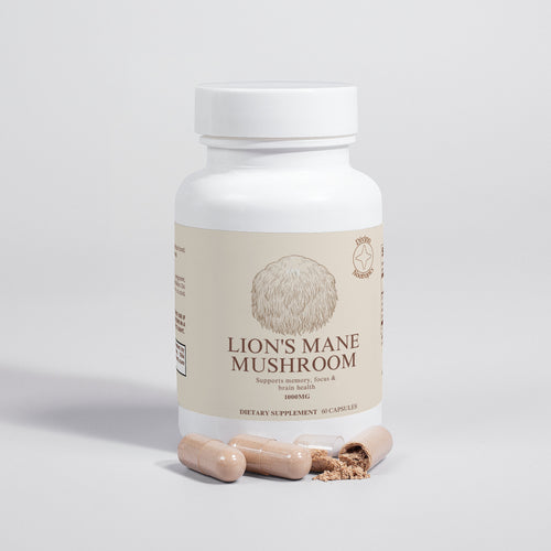 Lion's Mane Mushroom